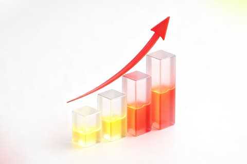 D Prime January 2026 Trading Volume Climbs as Markets Open the Year in Full Swing